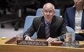 In Security Council briefing, UN envoy highlights achievements and need for cooperation for progress to continue