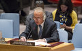 SRSG Keating briefs the Security Council